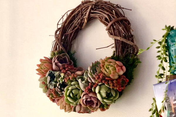 Tips for Succulent Wreath Care