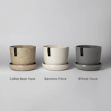 The Teacups | Three Pot Set - Lazy Gardens