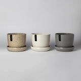 The Teacups | Three Pot Set - Lazy Gardens