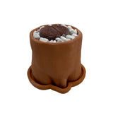 The Caboose | Pot & Saucer - Lazy Gardens