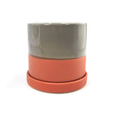 The Couch Potato | Pot & Saucer - Lazy Gardens