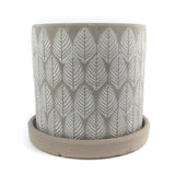 The Garden Snake | Pot & Saucer - Lazy Gardens