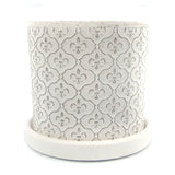 The Lazy Saint | Pot & Saucer - Lazy Gardens