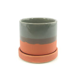 The Couch Potato | Pot & Saucer - Lazy Gardens