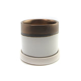 The Procrastinator | Pot & Saucer - Lazy Gardens