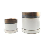 The Procrastinator | Pot & Saucer - Lazy Gardens