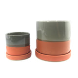 The Couch Potato | Pot & Saucer - Lazy Gardens