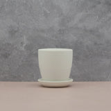 The Snooze Button | Pot & Saucer - Lazy Gardens