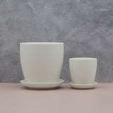 The Snooze Button | Pot & Saucer - Lazy Gardens