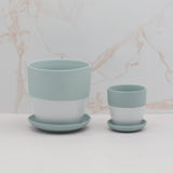 The Beach Day | Pot & Saucer - Lazy Gardens