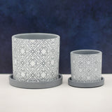 The Royale | Pot & Saucer - Lazy Gardens