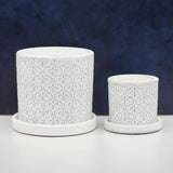 The Lazy Saint | Pot & Saucer - Lazy Gardens