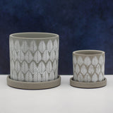 The Garden Snake | Pot & Saucer - Lazy Gardens