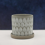 The Garden Snake | Pot & Saucer - Lazy Gardens