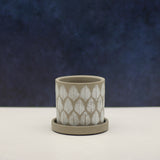 The Garden Snake | Pot & Saucer - Lazy Gardens