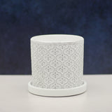 The Lazy Saint | Pot & Saucer - Lazy Gardens