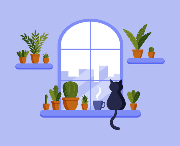 Plants and cat on windowsill looking at city skyline