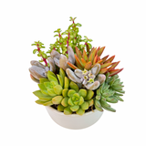 The Lazy Gift | Effortless Succulent Arrangement