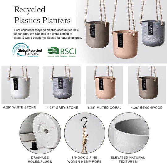 The Cliff Hangers | Hanging Pot - Lazy Gardens