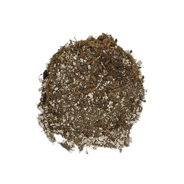 Succulent & Cactus Potting Mix - Lazy Gardens