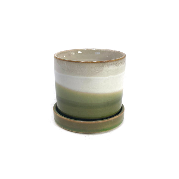 The Olive Branch | Pot & Saucer - Lazy Gardens