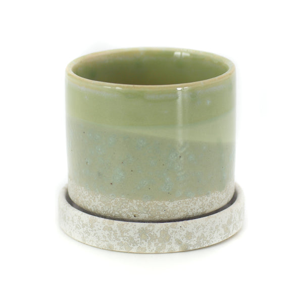 The Envy | Pot & Saucer - Lazy Gardens