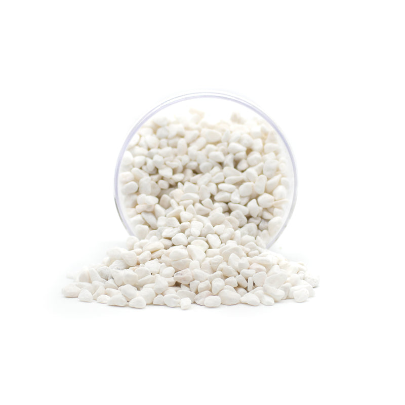 White Bean Pebbles - Lazy Gardens