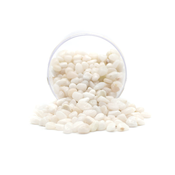 White Gravel Pebbles - Lazy Gardens