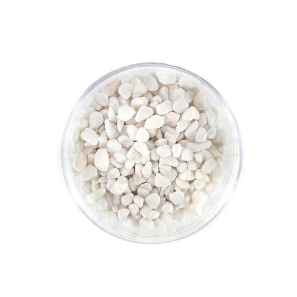 White Bean Pebbles - Lazy Gardens