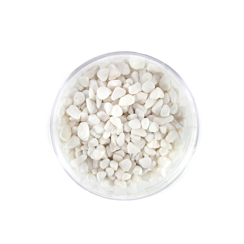 White Bean Pebbles - Lazy Gardens