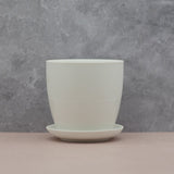 The Snooze Button - Pot & Saucer