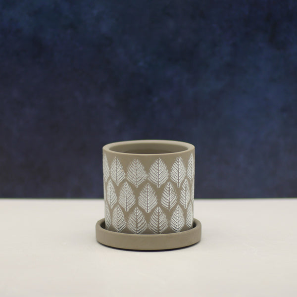The Garden Snake | Pot & Saucer - Lazy Gardens