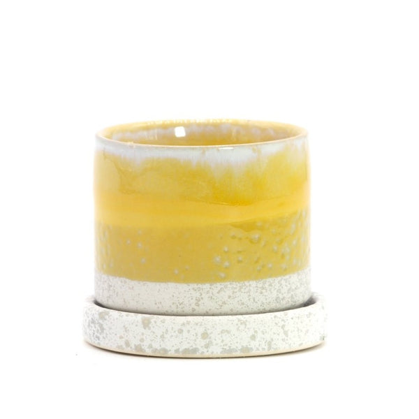 The Mellow Yellow | Pot & Saucer - Lazy Gardens